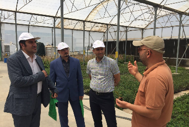بازدید اعضای شورای راهبردی بایولند از گلخانه مدرن شرکت رویش پایدار